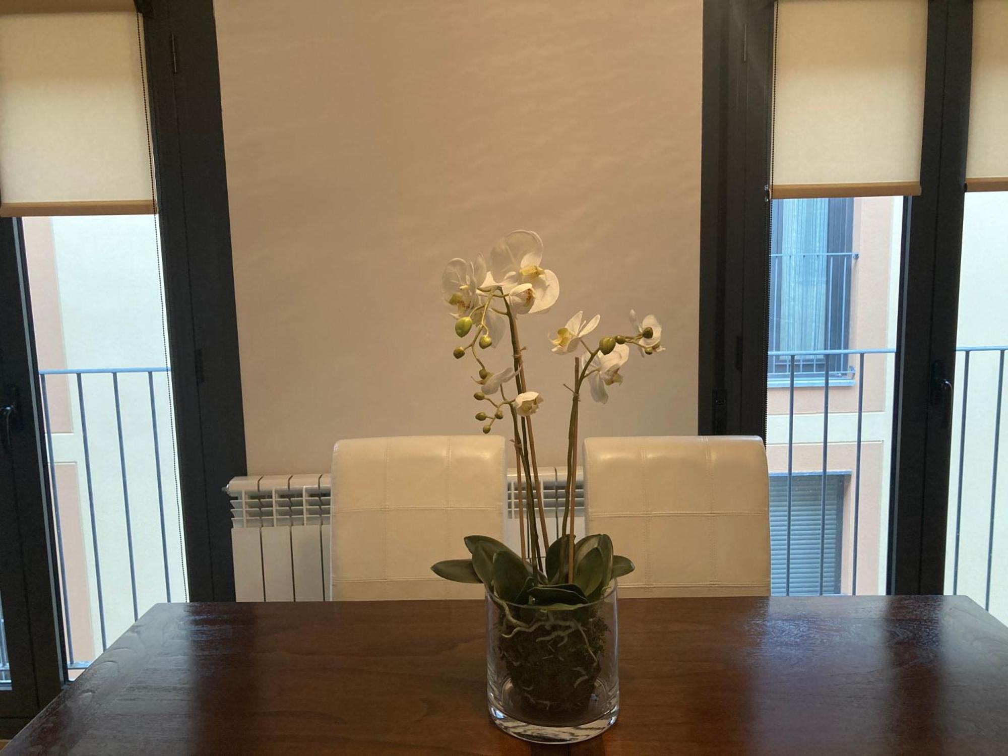 Modern & Cosy Apartment In Jaca Pyrenees Spain ภายนอก รูปภาพ